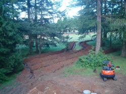 Septic Leach Field